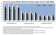 Marijuana+Use+by+Whites%2C+Blacks+and+Latinos%2C+ages+18-25%2C+2002-2009.jpg