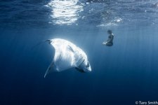 sting+ray+meditate.jpg