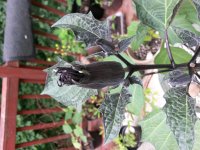 20140611_124541.jpg