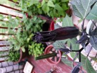20140612_162258.jpg