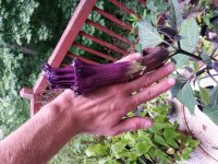 20140616_144559.jpg