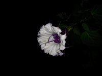 20140616_220434.jpg