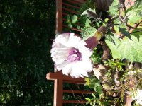 20140617_121709.jpg