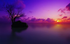 sunset-beautiful-stock-photos-2519097.jpg