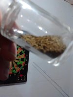 yopo+1g.jpg