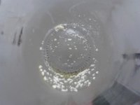 dmt+200mg.jpg
