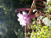 20140622_113744.jpg