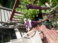 20140622_113747.jpg