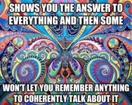 dmt.jpg