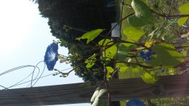 20140730_103454.jpg