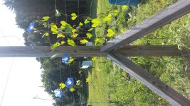 20140730_103331.jpg