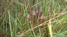 2013-10-10+183447.jpg
