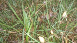 2013-10-10+183454.jpg