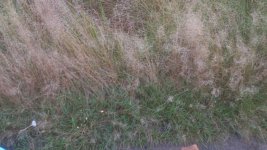 2013-10-10+183501.jpg