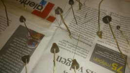2013-10-10+191300.jpg