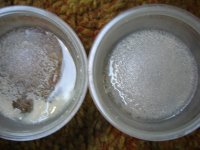 DSC08752.JPG