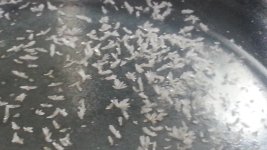20140826_112644.jpg