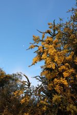 DSCF0438.jpg