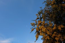 DSCF0442.jpg
