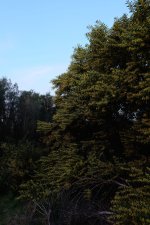 DSCF0463.jpg