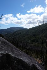 DSCF0544.jpg
