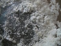 SANY0018.JPG