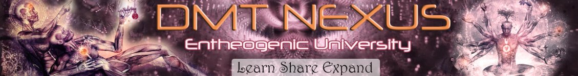 DMT_nexus_banner.jpg