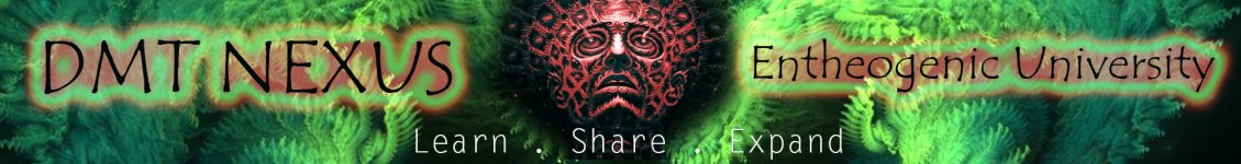 DMT_nexus_banner_02.jpg