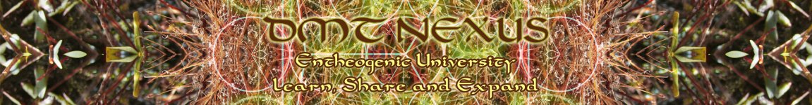 DMT+NEXUS+Banner1.jpg