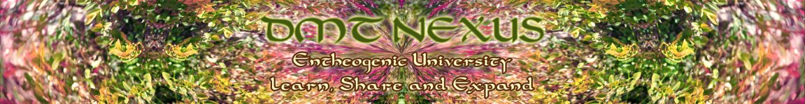 DMT+NEXUS+Banner2.jpg
