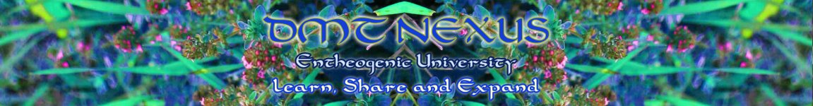 DMT+NEXUS+Banner3.jpg