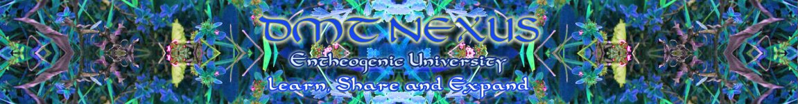 DMT+NEXUS+Banner4.jpg