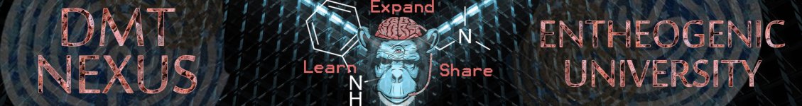 DMT_nexus_banner_03.jpg