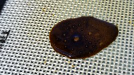 20141005_150419.jpg