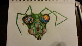 mantis+1.jpg