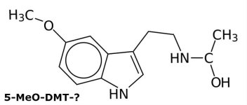 5-MeO-DMT-Question.jpg