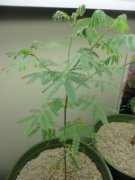 DSC01010.JPG