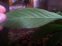 photo3.JPG