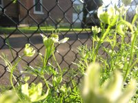 IMG_0301.JPG