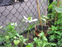 IMG_0355.JPG