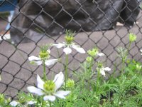 IMG_0357.JPG