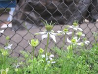 IMG_0358.JPG