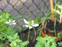 IMG_0382.JPG