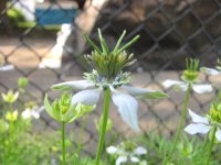 IMG_0384.JPG