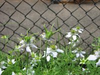 IMG_0459.JPG