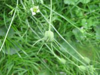 IMG_0577.JPG