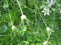 IMG_0601.JPG