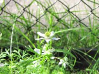IMG_0644.JPG