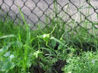 IMG_0647.JPG