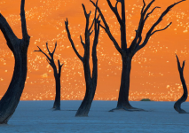 sandtrees.png